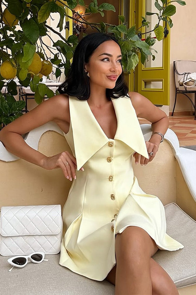 Lapel Button-Front Mini Dress