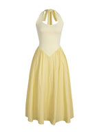Color-Block Sleeveless A-Line Maxi Dress
